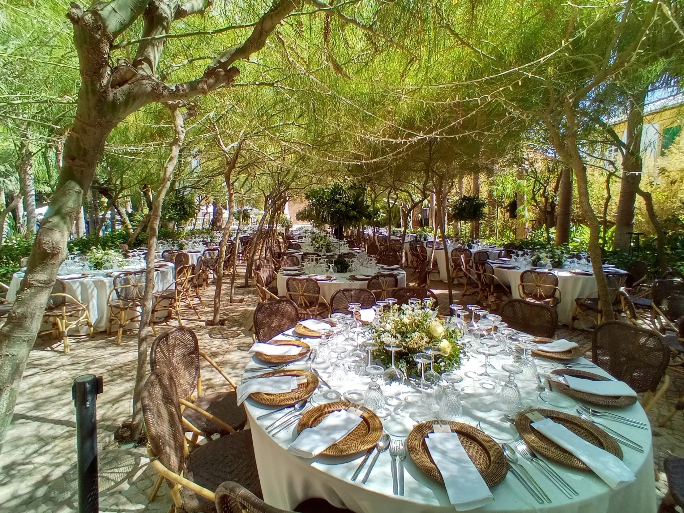 Mesas redondas de banquete bajo los árboles del jardín, con sillas de mimbre y centros de flores blancas