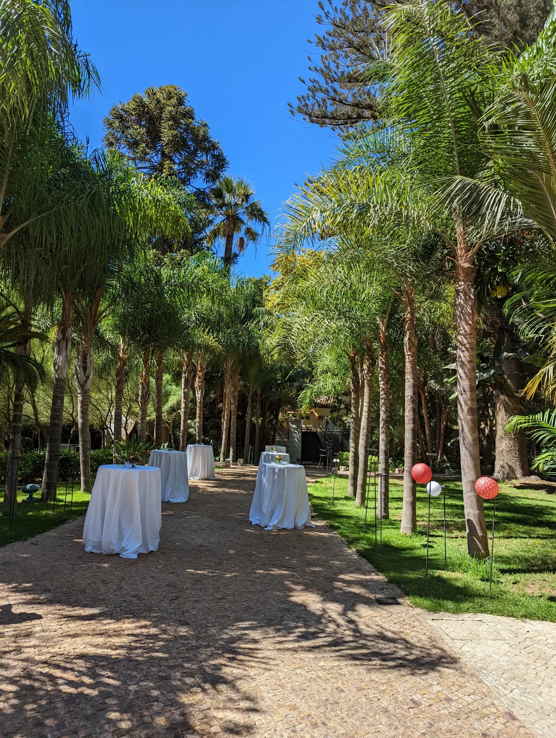 Mesas altas con manteles blancos a lo largo del paseo de palmeras, preparadas para el cóctel