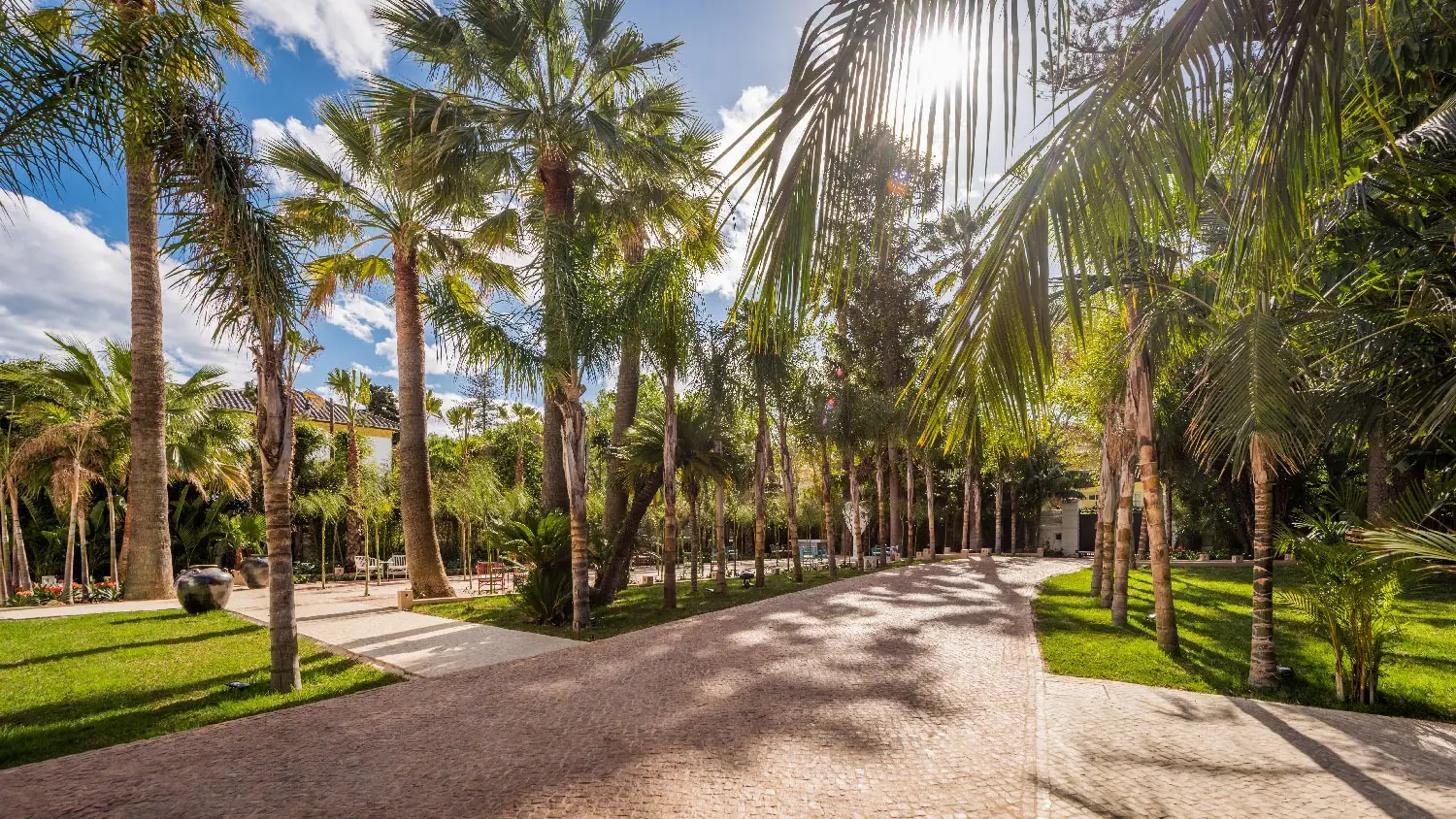 El paseo de grava entre palmeras bajo el sol de la tarde